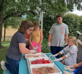 4-Hers learn about biology, livestock at animal science day camp